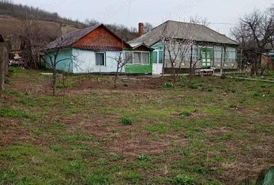 Casă cu 4 camere în Vulturi - 5