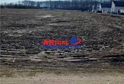Spațiu comercial, în Domnești - 5