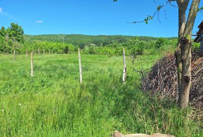 Casa de Vanzare Baiculesti Arges - 16