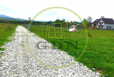 Teren agricol extravilan de 1000 mp, în Avrig - 6