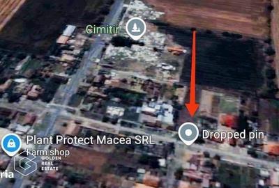 Spațiu comercial, în Sintea Mică - 2