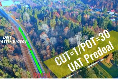 Teren Construcții intravilan de 10000 mp, în Timișu de Jos - 1