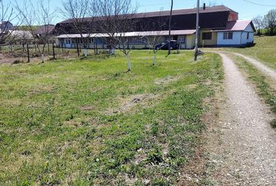 Teren de 6000 mp, în Badon - 5