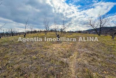 Teren în Călugareni - 4