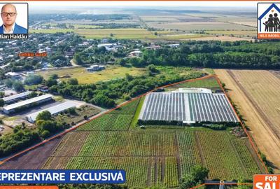 Sere: 10.640mp | Hala: 830mp | Teren 42.000mp | Lehliu-Gara - 6