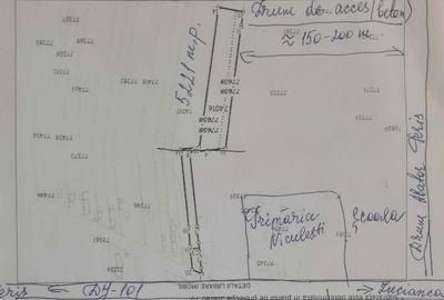 Teren de 5221 mp, în Niculești - 1