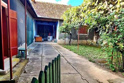 CASA CU TEREN 992 MP | SAT  SUPLACU DE TINCA | BIHOR - 13