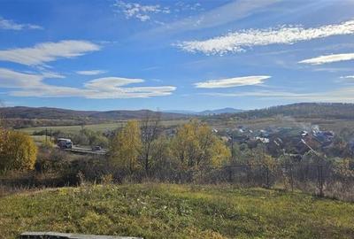 Rezidenta noua, oportunitate personalizare, peste 1.500mp, Persani, Brasov - 6