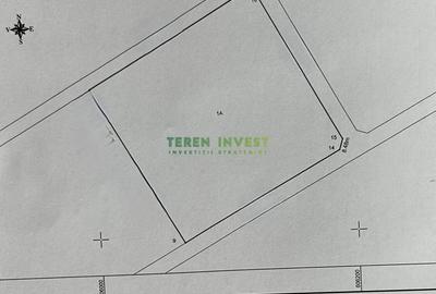 Spațiu comercial, în Tânganu - 6