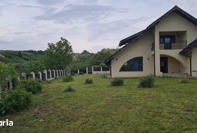 Casă cu 3 camere cu Teren 3000 Mp în Slătioara - 1