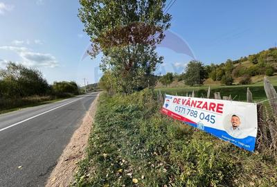 Teren Manastirea Humorului / Strada Principala 22,238 MP - 11