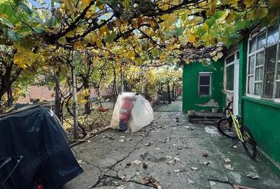 AV661 Casa individuala, pe parter, Pischia, zona linistita - 4