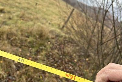 Teren Construcții extravilan de 3171 mp, în Vama Buzăului - 3