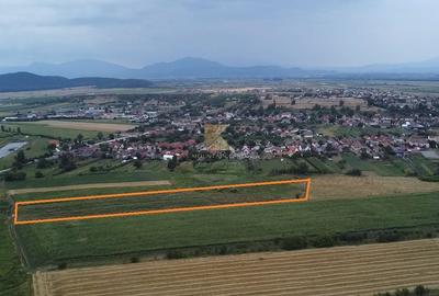 Teren Construcții intravilan de 20000 mp, în Bod - 3