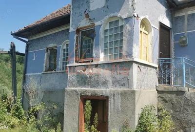 De vanzare casa si grajd +3000m2 teren livada in Sumurducu - Sanpaul - 5