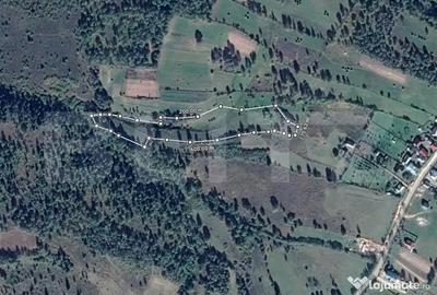 Teren de 13103 mp, în Dealu Negru - 3