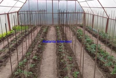 CASA DE VANZARE OVIDIU - 16