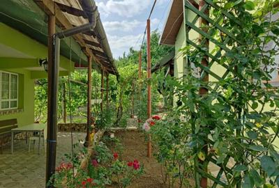 Proprietate cu 2 corpuri de locuinta, Baicoi - 7