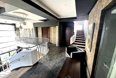 Vila premium 455 mp, destinatie rezidentiala/comerciala-Carrefour Colentina! - 9