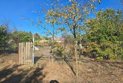 Casa si teren-Com Tamadau Mare, jud. Calarasi - 3