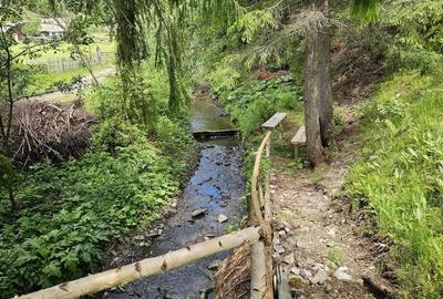 Teren de vanzare in Bucovina Comuna Breaza Zona Paraul Negrei - 1