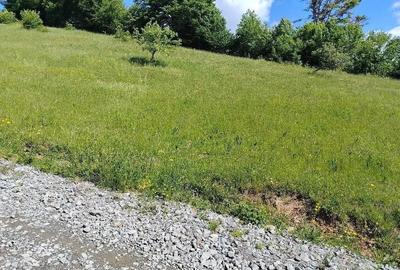 Teren de 7000 mp, în Morărești (Ciuruleasa) - 1