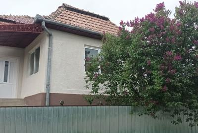 Casă cu 3 camere în Agriș - 7