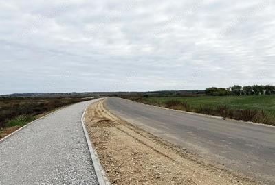 Teren de 11500 mp, în Biharia - 1