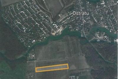 Teren Ostratu-Tamasi // OPORTUNITATE INVESTITII Teren Ostratu-Tamasi // OPORTUNITATE INVESTITII - 6