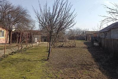 Casă cu Teren 1700 Mp în Roșioru