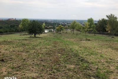 Teren de 11600 mp, în Viile Satu Mare