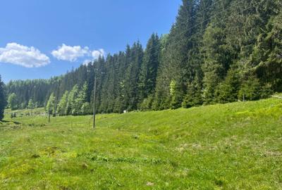 Spațiu comercial, în Arieșeni - 5