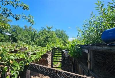 Tur Virtual! Casa  ergonomica,Codlea, Brasov. - 9