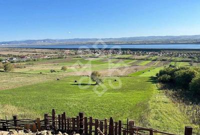 Teren extravilan de vanzare 4045 mp in zona Tileagd Teren extravilan de vanzare 4045 mp in zona Tileagd - 5