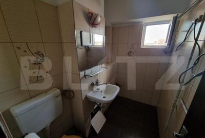 Apartament cu 4 camere, 75 mp, zona Mall Electroputere, Lapu - 10