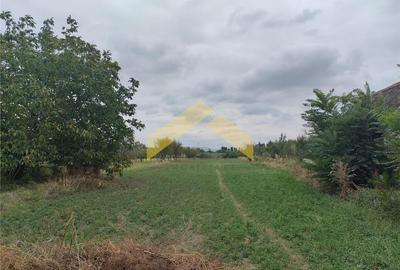 Casă individuală cu 5 camere cu Canalizare în Sud-Vest - 9