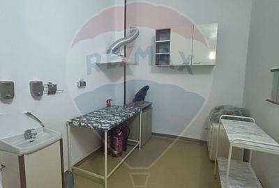 Spațiu comercial, de 77.620002746582 mp, în Ultracentral - 10