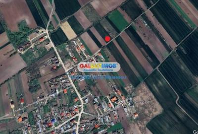 Darza 13.055 Mp - 3