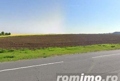 Teren de 10007 mp, în Șindrilița - 3