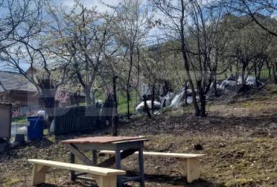 Teren de 2500 mp, în Viișoara - 4