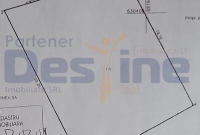 TEREN 5000 MP, MIROSLAVA-CENTRU - 2