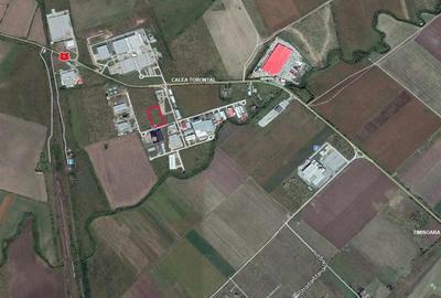 Teren Construcții intravilan de 10000 mp, în Torontalului - 1