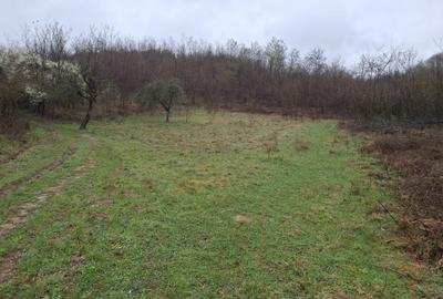 Spațiu comercial, în Sintești - 2