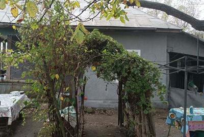 Casă cu 3 camere cu Teren 2493 Mp în Pădina - 2