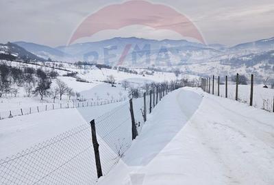 Teren de 4301 mp, în Bârsana - 2