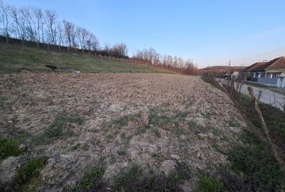 Teren de 2422 mp, în Șumugiu - 5