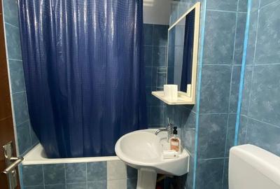 Apartament cu 2 camere decomandat în Craiovița Nouă - 5