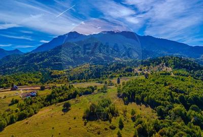 Teren agricol extravilan de 2263 mp, în Glăjărie