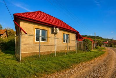Casă individuală cu 3 camere cu Teren 2700 Mp în Sânmărghita - 10