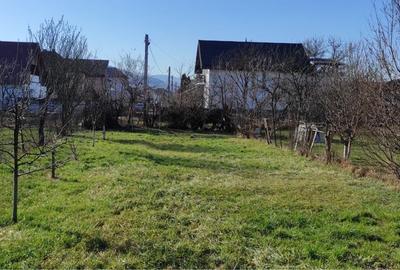 Casă cu 2 camere în Central - 3